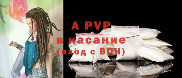 apvp Богданович
