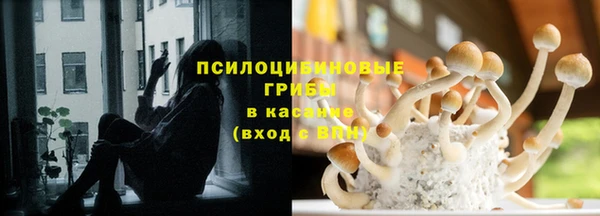 дурь Верхний Тагил