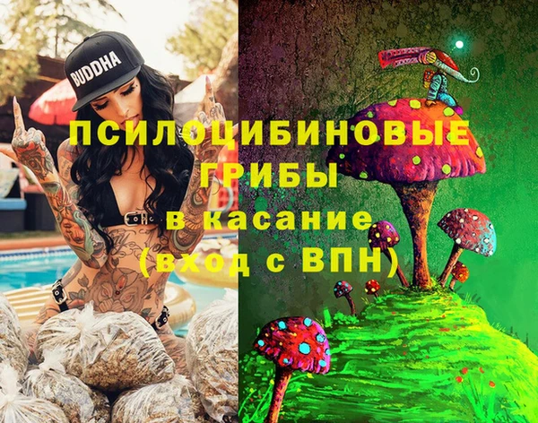 mdpv Володарск