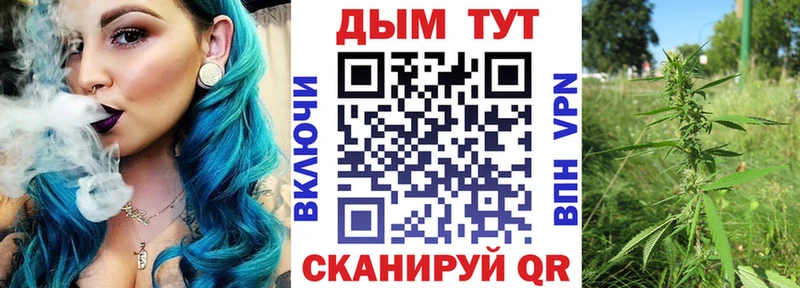 shop Telegram  mega онион  Искитим  Шишки марихуана LSD WEED 